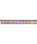 AgroLED iSunlight® 21 Watt T5 Bloom Spectrum LED Lamp, 2' AgroLED