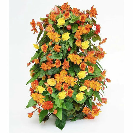 Apollo Vertical Flower Tower 34 site Planter, 3ft Hydrofarm