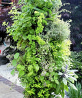 Apollo Vertical Flower Tower 34 site Planter, 3ft Hydrofarm