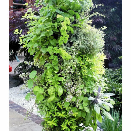 Apollo Vertical Flower Tower 34 site Planter, 3ft Hydrofarm