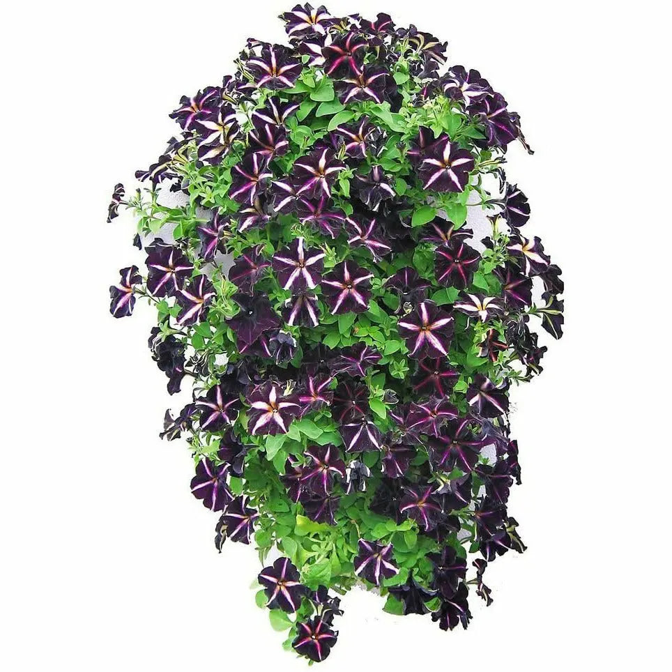Apollo Vertical Flower Tower 34 site Planter, 3ft Hydrofarm