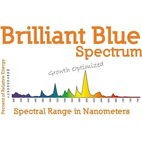 Bloomerang® 1000W MH, Brilliant Blue, Grow Lamp Bloomerang