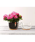 Blumat Classics Junior Automatic Watering Stakes | Pack of 3 Blumat