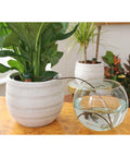 Blumat Classics Junior Automatic Watering Stakes | Pack of 3 Blumat