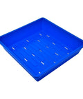 Bootstrap Farmer 1010 Seed Germination Tray 2.5" Deep, With Holes | Assorted Colors