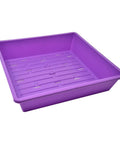 Bootstrap Farmer 1010 Seed Germination Tray 2.5" Deep, With Holes | Assorted Colors