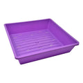 Bootstrap Farmer 1010 Seed Germination Tray 2.5" Deep, With Holes | Assorted Colors