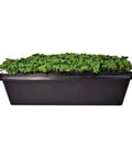 Bootstrap Farmer 1010 Seed Starting Flats 2.5" Deep | No Holes