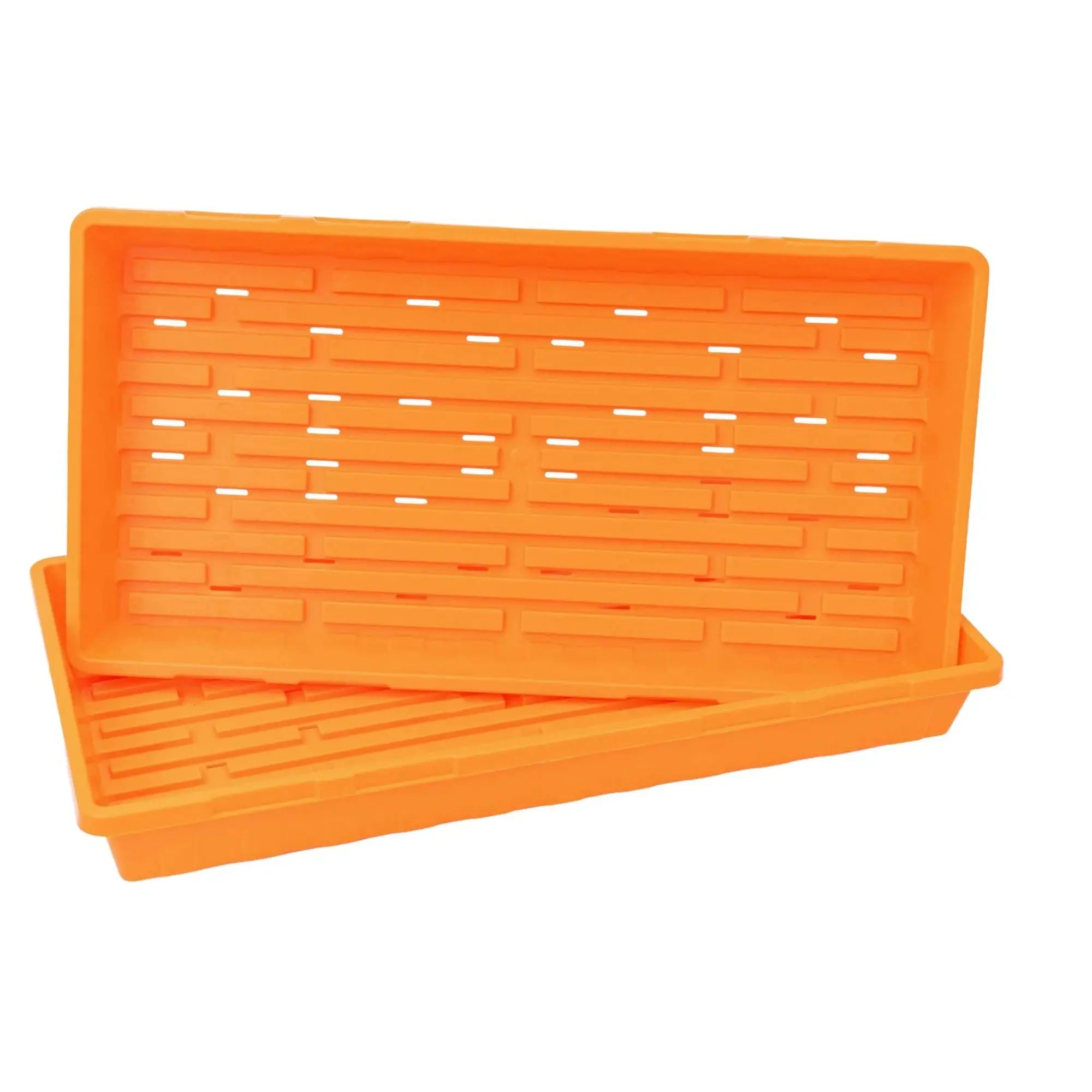 Bootstrap Farmer 1020 Seed Starting Trays, With Holes – GARDEN