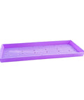 Bootstrap Farmer 1020 Shallow Extra Strength Microgreen Trays, With Holes | Assorted Colors