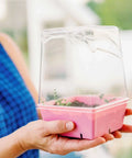 Bootstrap Farmer 5X5 Deep Extra Strength Trays, With Holes | Assorted Colors