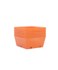 Bootstrap Farmer 5X5 Deep Extra Strength Trays, With Holes | Assorted Colors