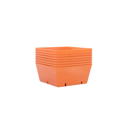 Bootstrap Farmer 5X5 Deep Extra Strength Trays, With Holes | Assorted Colors
