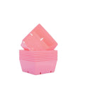 Bootstrap Farmer 5X5 Deep Extra Strength Trays, With Holes | Assorted Colors