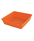 Bootstrap Farmer 5X5 Shallow Microgreen Trays | Assorted Colors
