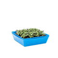 Bootstrap Farmer 5X5 Shallow Microgreen Trays | Assorted Colors
