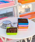 Bootstrap Farmer 5X5 Shallow Microgreen Trays, With Holes | Assorted Colors