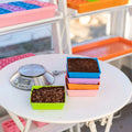 Bootstrap Farmer 5X5 Shallow Microgreen Trays, With Holes | Assorted Colors