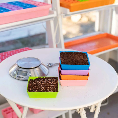 Bootstrap Farmer 5X5 Shallow Microgreen Trays, With Holes | Assorted Colors
