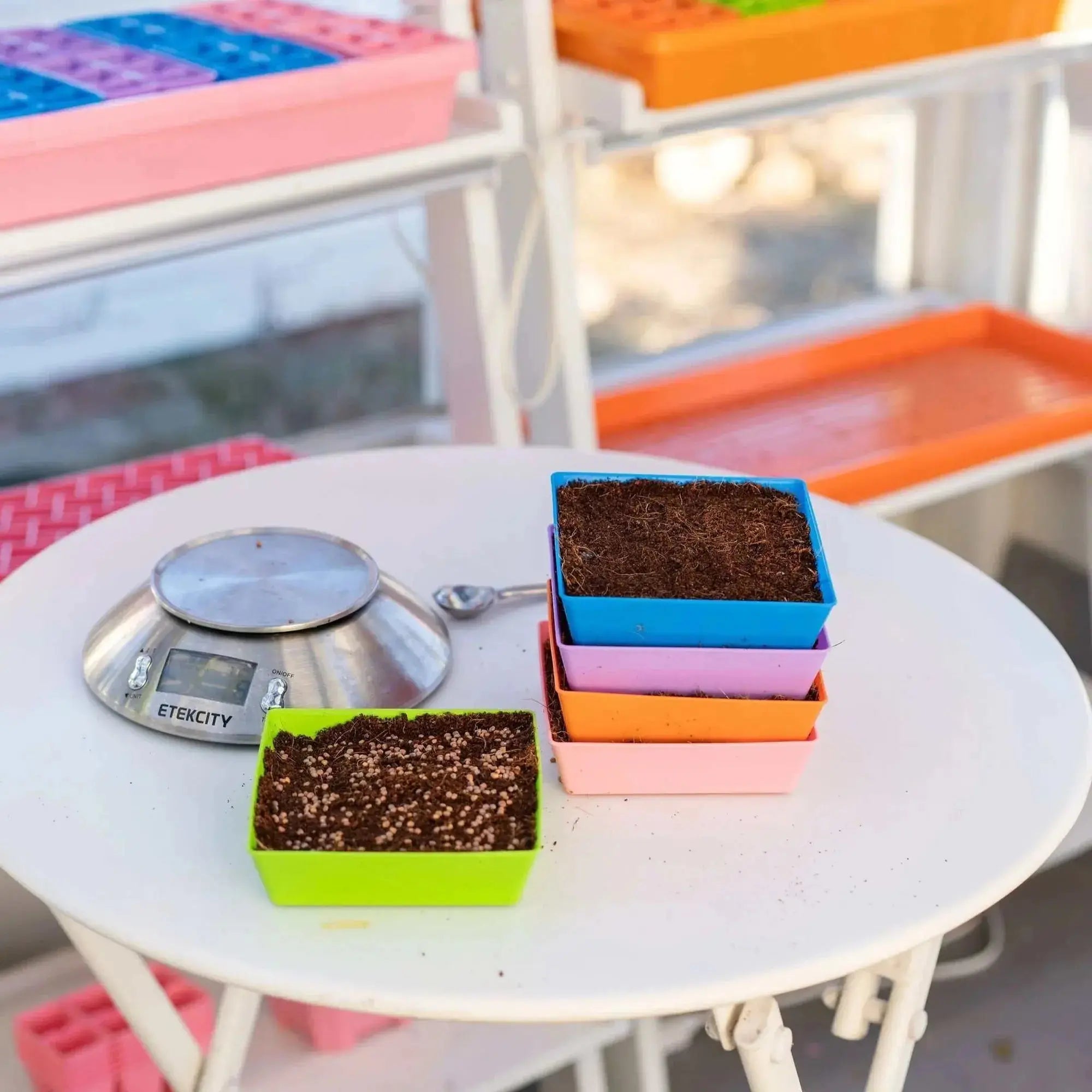 11+ Bootstrap Microgreen Trays Bootstrap Farmer 5X5 Shallow Microgreen Trays, With – GARDEN SUPPLY GUYS