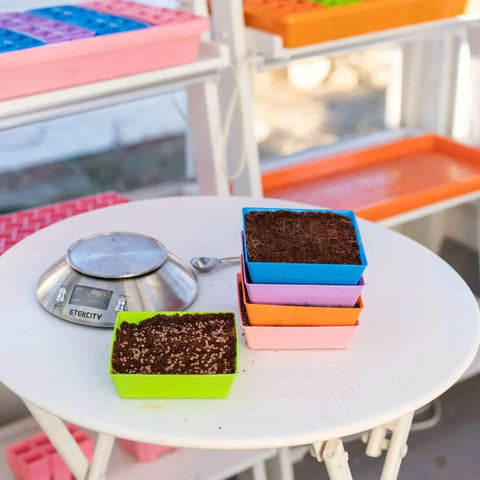 Bootstrap Farmer 5X5 Shallow Microgreen Trays, With Holes | Assorted Colors