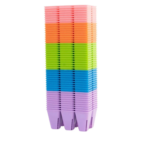 Bootstrap Farmer 6 Cell Plug Tray Inserts | Assorted Colors