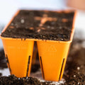 Bootstrap Farmer 6 Cell Plug Tray Inserts | Assorted Colors