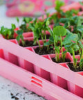 Bootstrap Farmer Air Prune Propagation Tray 72 Cell | Assorted Colors