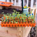 Bootstrap Farmer Air Prune Propagation Tray 72 Cell | Assorted Colors