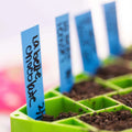 Bootstrap Farmer Air Prune Propagation Tray 72 Cell | Assorted Colors