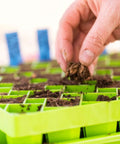 Bootstrap Farmer Air Prune Propagation Tray 72 Cell | Assorted Colors
