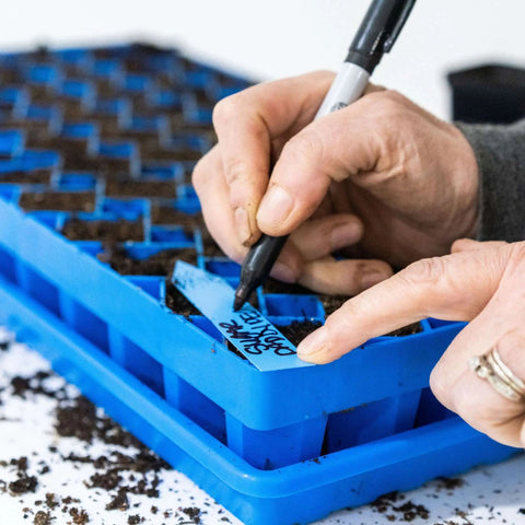Bootstrap Farmer Air Prune Propagation Tray 72 Cell | Assorted Colors