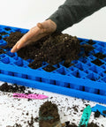 Bootstrap Farmer Air Prune Propagation Tray 72 Cell | Assorted Colors