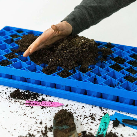 Bootstrap Farmer Air Prune Propagation Tray 72 Cell | Assorted Colors