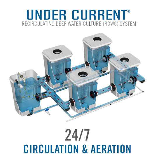 Current Culture® Under Current® Double Barrel XL13 | 30" Spacing