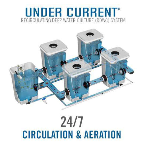 Current Culture® Under Current® XL | Special Order Only