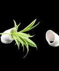 DIY Hydroponic Elbow Cups for Vertical Tower Systems, 1.5" | Pack of 10 GardenSupplyGuys
