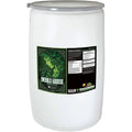 Emerald Harvest® Emerald Goddess®