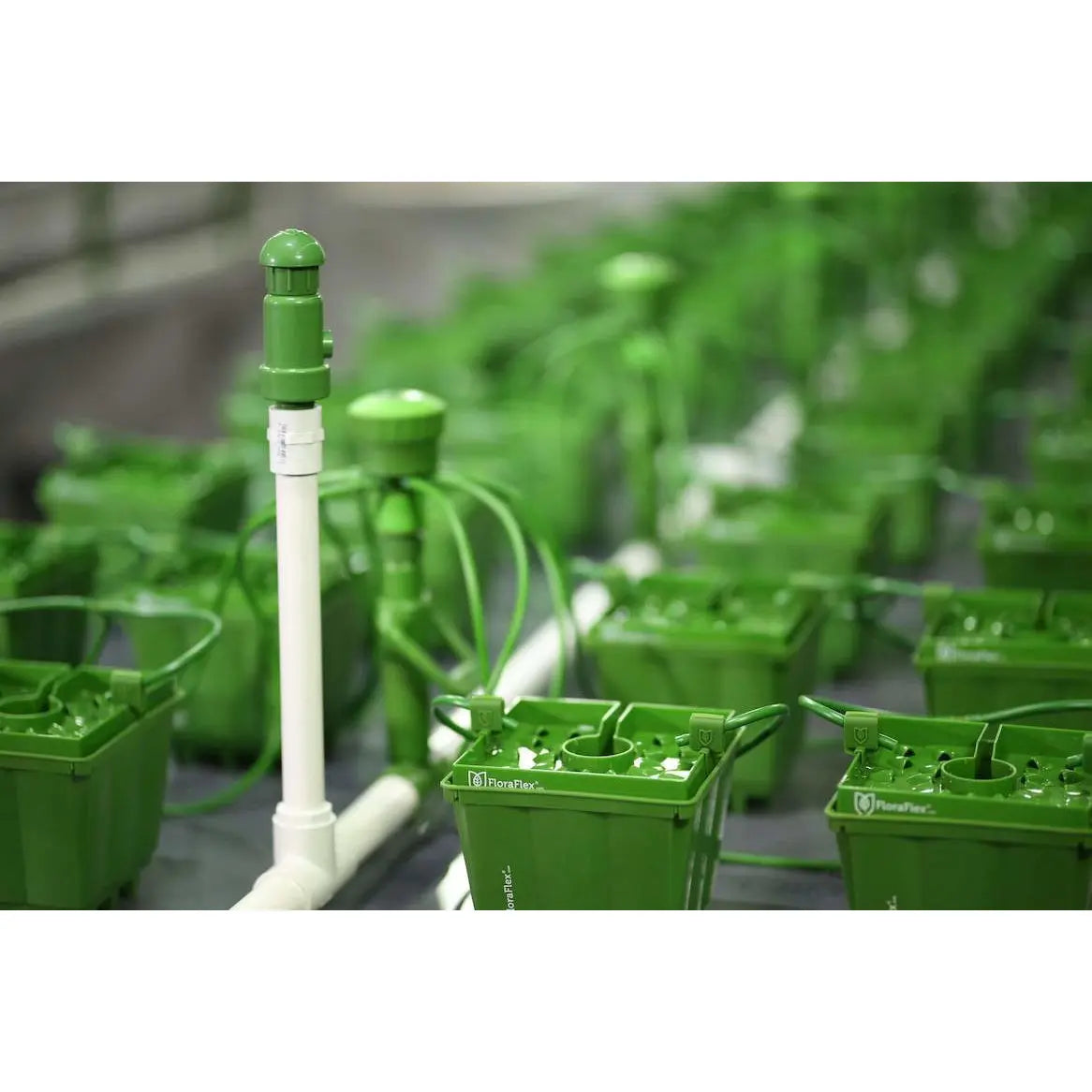 FloraFlex® Air Bleed Valve, 3/4", 6 Pack | Special Order Only FloraFlex