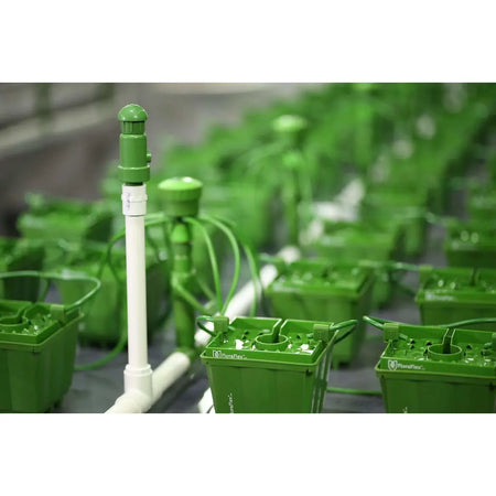 FloraFlex® Air Bleed Valve, 3/4", 6 Pack | Special Order Only FloraFlex