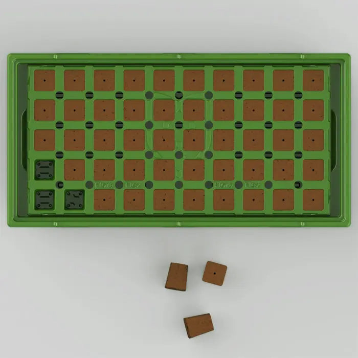 FloraFlex® INCUBATOR™ PLUGS 1.25" 4040 Pack GARDEN SUPPLY GUYS