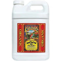 FoxFarm® Big Bloom® Liquid Plant Food, pt