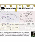 GREASE  Green Label GREASE