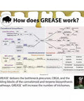 GREASE  Purple Label GREASE