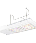 Gavita CT1930e LED Grow Light 780 Watt , 120-277V Gavita