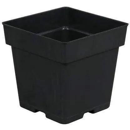Gro Pro® Black Plastic Pot, 5.5" x 5.5" x 5.75" Gro Pro