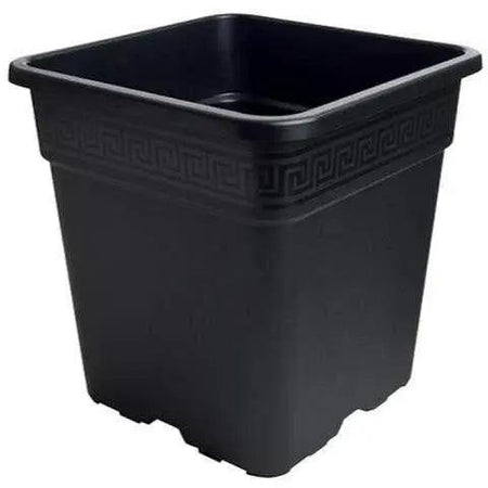 1 2 gallon plant pots Gro Pro Black Square Pot