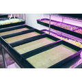 Grodan® Cress Plate Propagation Mat 10" x 20" Grodan