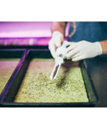 Grodan® Cress Plate Propagation Mat 10" x 20" Grodan