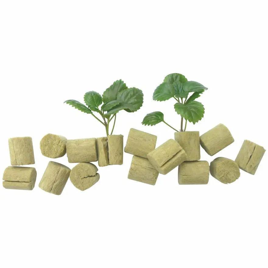 Grodan® MACROPLUGS, Round 1.5" | Pack of 50 Grodan